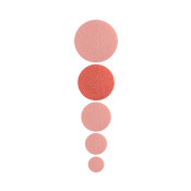 U – Podo disc BAF files L Ø25mm