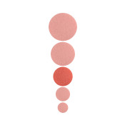 U – Podo disc BAF files M Ø20mm