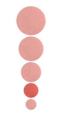 U – Podo disc BAF files S Ø15mm